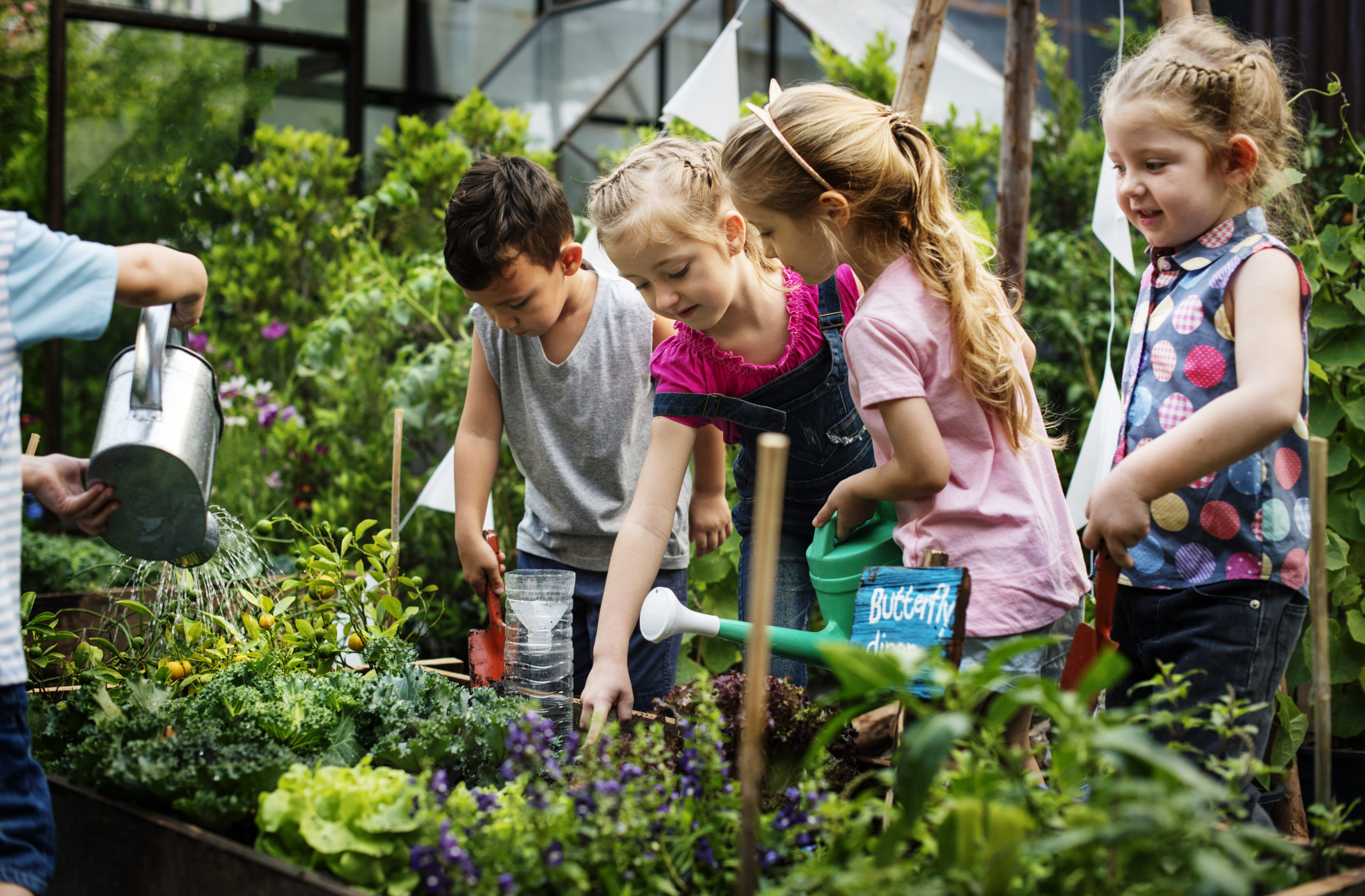 actividades al aire libre para niños