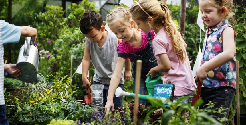 Naturaleza y actividades al aire libre