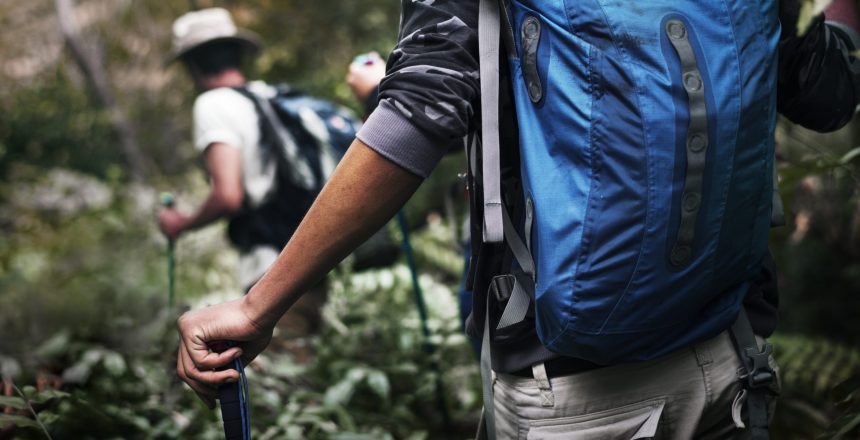 Trekking in a forest